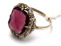 Ring S830 2,4g
