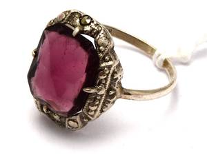 Ring S830 2,4g