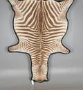 Zebraskinn, uppfodrat på svart textil
