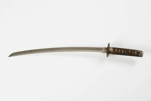 Wakizashi