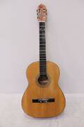 Gitarr