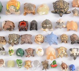 PARTI SAMLARFÖREMÅL, sköldpaddor, 1900-tal.