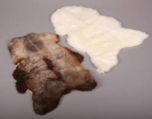 Fåreskind af engelsk opdræt, hvid og brun, str. XL 2