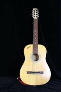 GITARR NIVADA