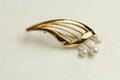 Brosch
