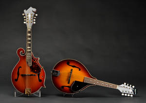 To mandoliner.