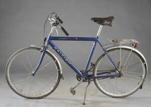 Raleigh, herrecykel.
