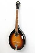 Mandolin Levin