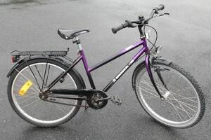 Flickcykel Monark