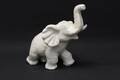 Elefant