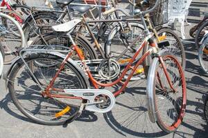 Damcykel Maraton
