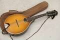 Mandolin Levin