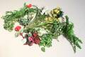 Blommor