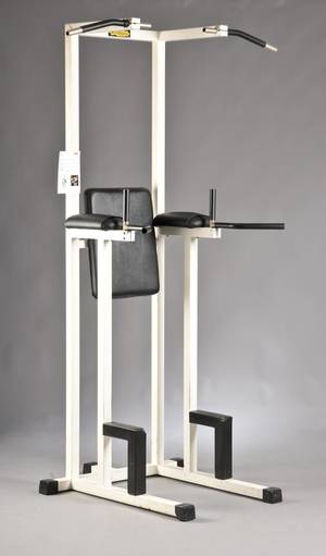 Technogym. Dips træningsmaskine.