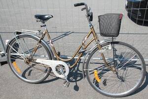 Damcykel