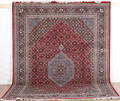 Kashmir Bidjar 243x357.cm.