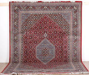 Kashmir Bidjar 243x357.cm.
