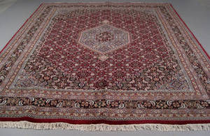 Kashmir Bidjar 302 x 238 cm