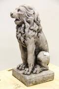 Lejon