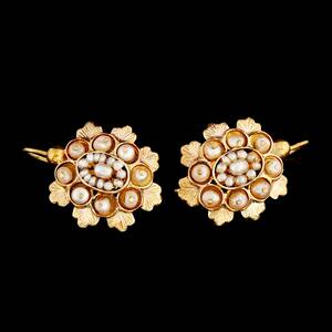 Örhängen 1 par guld och pärlor