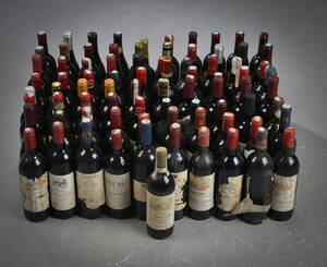 Vinsamling 81