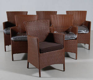 Sex trädgårdsfåtöljer i  konstrotting