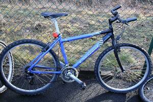 Ungdomscykel Crescent