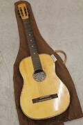 Gitarr