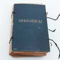HERBARIUM 1900-talets första del