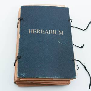 HERBARIUM 1900-talets första del