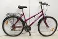 Damcykel Shimano