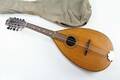 Mandolin Levin