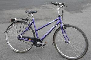 Damcykel Crescent