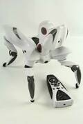 Robothund