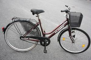 Damcykel Classic