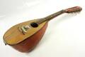 Mandolin