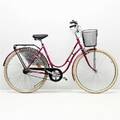 Damcykel
