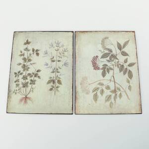 VÄGGPLÅTAR, 2 st,  med motiv av blommor