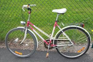 Damcykel Rex