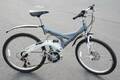 Mountainbike MTD Shimano
