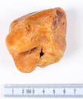 Uforarbejdet ravklump, ca. 76 gram