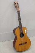 Gitarr Levin Nr