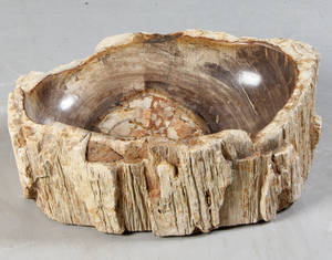 Unik Vask udhugget i forstenet træ