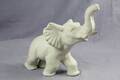 Elefant UE