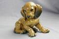 Hund Rosenthal