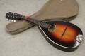Mandolin Levin