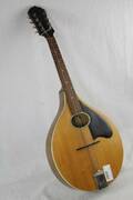 Mandolin Levin
