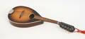 Mandolin, Levin