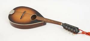 Mandolin, Levin