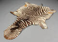 Zebraskind